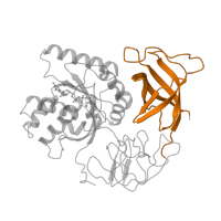 The deposited structure of PDB entry 1eft contains 1 copy of Pfam domain PF03143 (Elongation factor Tu C-terminal domain) in Elongation factor Tu. Showing 1 copy in chain A.