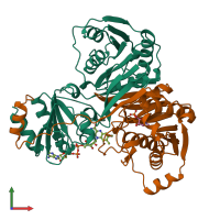 PDB entry 1efv coloured by chain, front view.