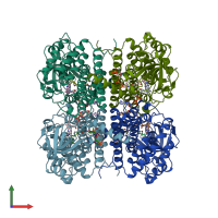 PDB entry 1egc coloured by chain, front view.