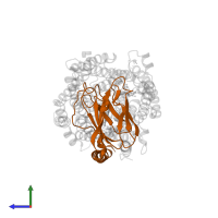 Cytochrome c oxidase subunit 2 in PDB entry 1ehk, assembly 1, side view.