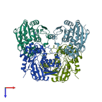 PDB entry 1ehy coloured by chain, top view.