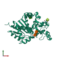 PDB entry 1ei9 coloured by chain, front view.