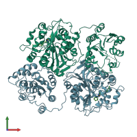 PDB entry 1ek2 coloured by chain, front view.