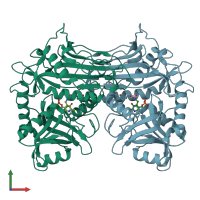 PDB entry 1ekv coloured by chain, front view.