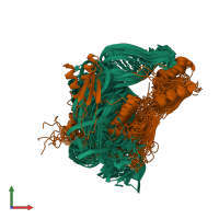 PDB entry 1ekz coloured by chain, ensemble of 36 models, front view.