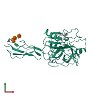 PDB entry 1elv coloured by chain, front view.