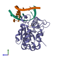 PDB entry 1emj coloured by chain, side view.