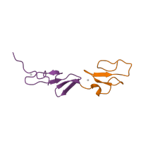 The deposited structure of PDB entry 1emo contains 2 copies of SCOP domain 57197 (EGF-type module) in Fibrillin-1. Showing 2 copies in chain A.