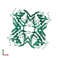 Homo tetrameric assembly 1 of PDB entry 1ens coloured by chemically distinct molecules, front view.