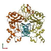 PDB entry 1eop coloured by chain, front view.