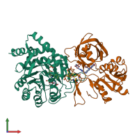 PDB entry 1ep2 coloured by chain, front view.