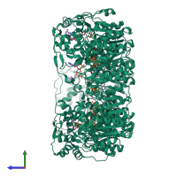Homo pentameric assembly 2 of PDB entry 1eq2 coloured by chemically distinct molecules, side view.
