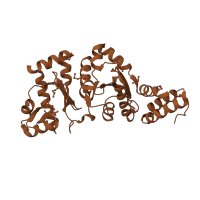 The deposited structure of PDB entry 1eqn contains 5 copies of SCOP domain 56732 (DNA primase DnaG catalytic core) in DNA primase. Showing 1 copy in chain A.