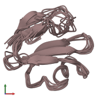 PDB entry 1erh coloured by chain, ensemble of 10 models, front view.