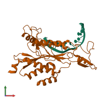 PDB 1eri coloured by chain and viewed from the front.
