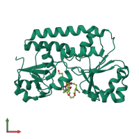 PDB entry 1esz coloured by chain, front view.