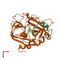 PDB entry 1etr coloured by chain, top view.