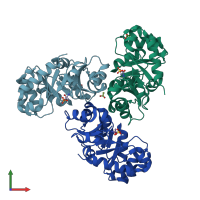 PDB entry 1eua coloured by chain, front view.
