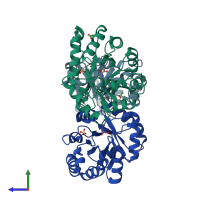 PDB entry 1eua coloured by chain, side view.