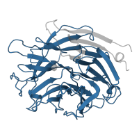 The deposited structure of PDB entry 1eus contains 1 copy of Pfam domain PF13088 (BNR repeat-like domain) in Sialidase. Showing 1 copy in chain A.