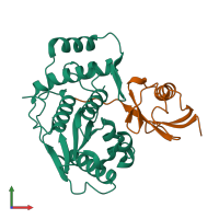 PDB entry 1euv coloured by chain, front view.