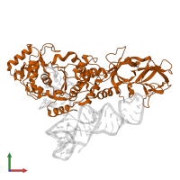 Glutamine--tRNA ligase in PDB entry 1euy, assembly 1, front view.