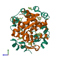 Hetero dodecameric assembly 1 of PDB entry 1ev3 coloured by chemically distinct molecules, side view.