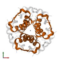 Insulin B chain in PDB entry 1ev3, assembly 1, front view.