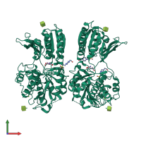 Homo dimeric assembly 1 of PDB entry 1ewk coloured by chemically distinct molecules, front view.