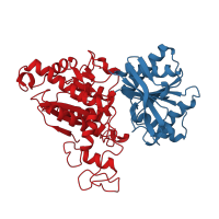 The deposited structure of PDB entry 1ewv contains 4 copies of CATH domain 3.40.50.2300 (Rossmann fold) in Metabotropic glutamate receptor 1. Showing 2 copies in chain A.