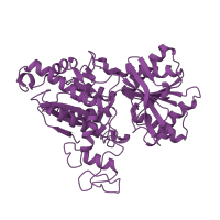 The deposited structure of PDB entry 1ewv contains 2 copies of SCOP domain 53823 (L-arabinose binding protein-like) in Metabotropic glutamate receptor 1. Showing 1 copy in chain A.