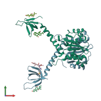 PDB entry 1ex4 coloured by chain, front view.