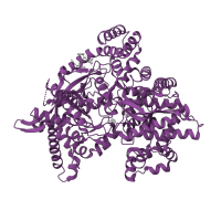 The deposited structure of PDB entry 1exv contains 2 copies of SCOP domain 53766 (Oligosaccharide phosphorylase) in Glycogen phosphorylase, liver form. Showing 1 copy in chain A.