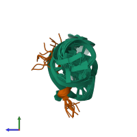 PDB entry 1exy coloured by chain, ensemble of 12 models, side view.