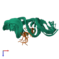 PDB entry 1exy coloured by chain, ensemble of 12 models, top view.