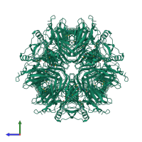 Homo hexameric assembly 1 of PDB entry 1ey2 coloured by chemically distinct molecules, side view.