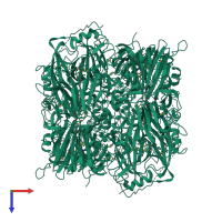 Homo hexameric assembly 1 of PDB entry 1ey2 coloured by chemically distinct molecules, top view.