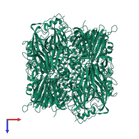 Homogentisate 1,2-dioxygenase in PDB entry 1ey2, assembly 1, top view.