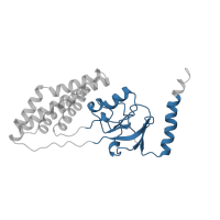 The deposited structure of PDB entry 1ezc contains 1 copy of CATH domain 3.50.30.10 (Glucose Oxidase; domain 1) in Phosphoenolpyruvate-protein phosphotransferase. Showing 1 copy in chain A.