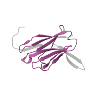 The deposited structure of PDB entry 1ezv contains 1 copy of Pfam domain PF07686 (Immunoglobulin V-set domain) in Ig heavy chain V region 3-6. Showing 1 copy in chain J [auth X].