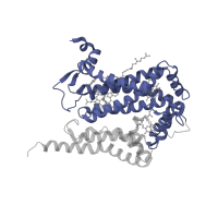 The deposited structure of PDB entry 1ezv contains 1 copy of SCOP domain 81642 (Cytochrome b of cytochrome bc1 complex (Ubiquinol-cytochrome c reductase)) in Cytochrome b. Showing 1 copy in chain C.