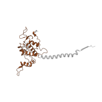 The deposited structure of PDB entry 1ezv contains 1 copy of CATH domain 1.10.760.10 (Cytochrome Bc1 Complex; Chain D, domain 2) in Cytochrome c1, heme protein, mitochondrial. Showing 1 copy in chain D.