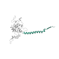 The deposited structure of PDB entry 1ezv contains 1 copy of SCOP domain 81495 (Cytochrome c1 subunit of cytochrome bc1 complex (Ubiquinol-cytochrome c reductase), transmembrane anchor) in Cytochrome c1, heme protein, mitochondrial. Showing 1 copy in chain D.