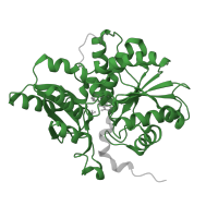 The deposited structure of PDB entry 1f2d contains 4 copies of Pfam domain PF00291 (Pyridoxal-phosphate dependent enzyme) in 1-aminocyclopropane-1-carboxylate deaminase. Showing 1 copy in chain A.
