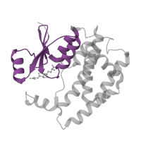 The deposited structure of PDB entry 1f3a contains 2 copies of Pfam domain PF02798 (Glutathione S-transferase, N-terminal domain) in Glutathione S-transferase A1. Showing 1 copy in chain A.