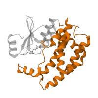 The deposited structure of PDB entry 1f3a contains 2 copies of SCOP domain 47617 (Glutathione S-transferase (GST), C-terminal domain) in Glutathione S-transferase A1. Showing 1 copy in chain A.