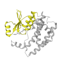 The deposited structure of PDB entry 1f3a contains 2 copies of SCOP domain 52862 (Glutathione S-transferase (GST), N-terminal domain) in Glutathione S-transferase A1. Showing 1 copy in chain A.