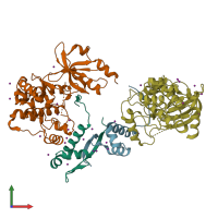 PDB entry 1f3m coloured by chain, front view.
