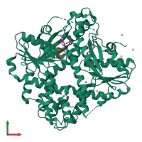 PDB entry 1f48 coloured by chain, front view.