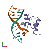 PDB entry 1f5e coloured by chain, front view.